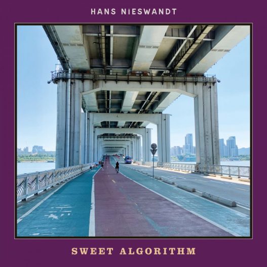 "Sweet Algorithm" - Hans Nieswandt veröffentlicht erste Single & Musikvideo zu kommendem Album "Flower Hans"