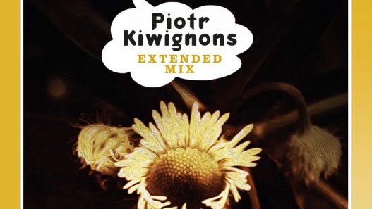 Hans Nieswandt veröffentlicht Extented Version seines Songs "Ride the Wind" von Piotr Kiwignons